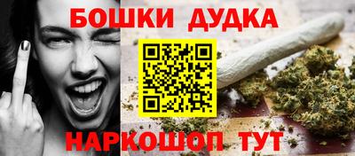 индика Новодвинск