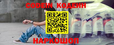 индика Новодвинск