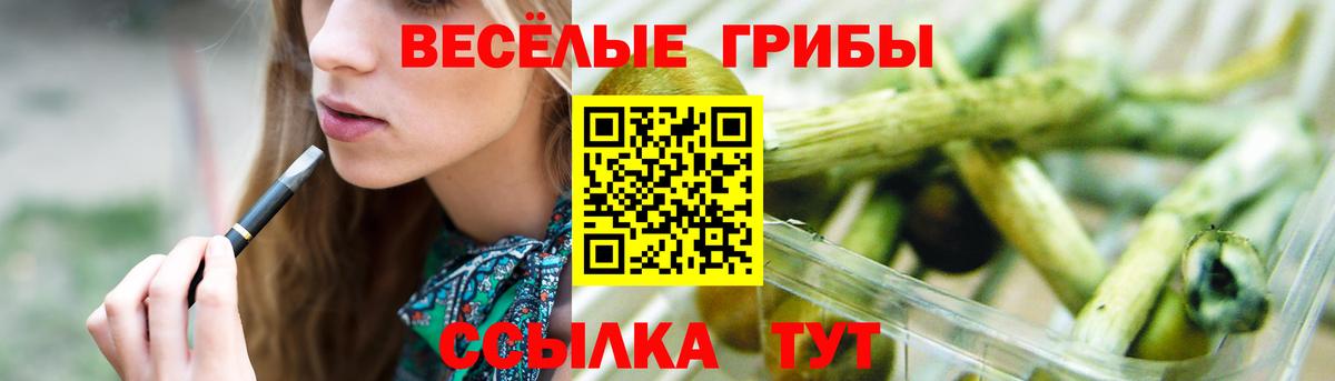 Сыктывкар  Псилоцибиновые грибы Psilocybine cubensis  Псилоцибиновые грибы Psilocybine cubensis  Вход с VPN 
